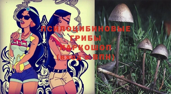 MDMA Аркадак