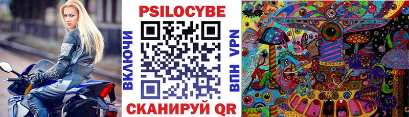 маркетплейс как зайти  Усть-Кут  Галлюциногенные грибы Psilocybine cubensis 
